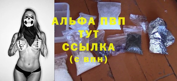 мдпв Вяземский