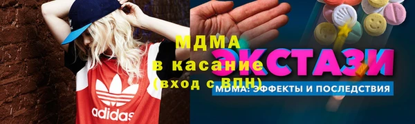 мдпв Вяземский