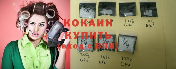 мдпв Вяземский