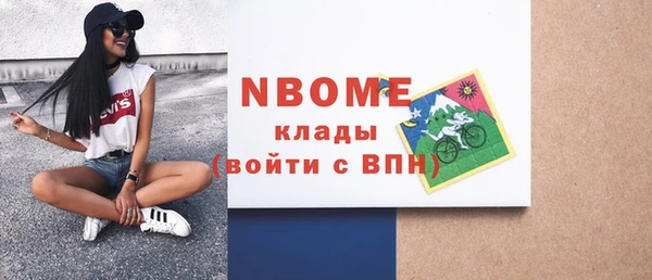 мдпв Вяземский